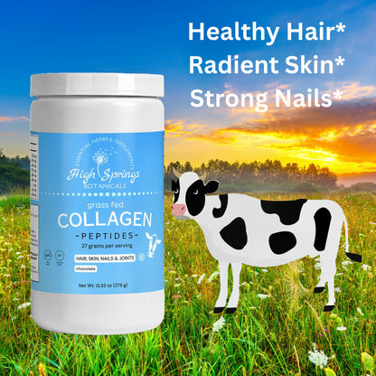 Grass-Fed Collagen Peptides Powder (Chocolate)