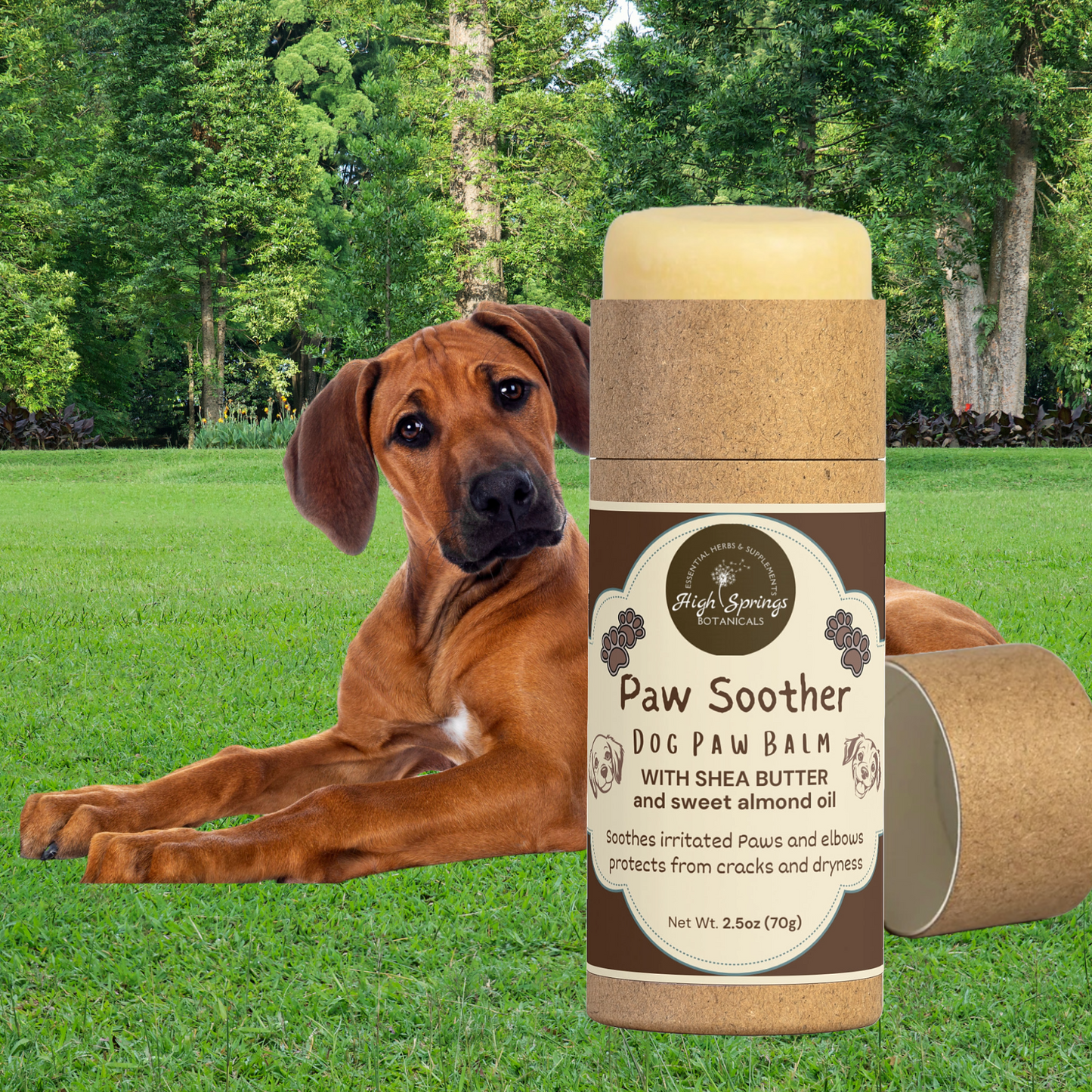 Paw Soother Balm for Dogs