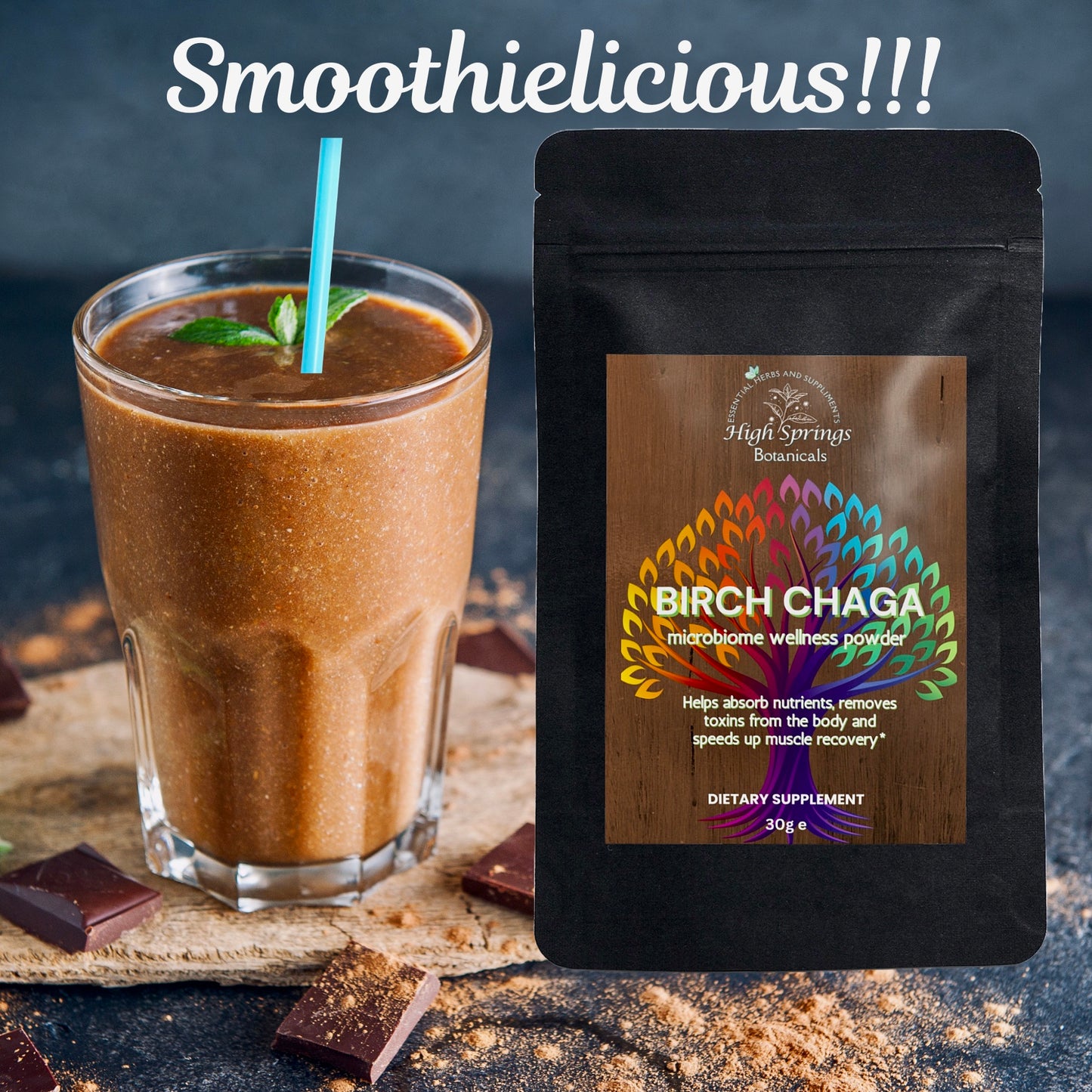 Birch Chaga Microbiome Wellness Powder